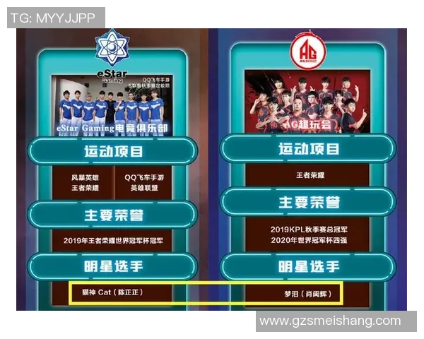 王者荣耀战术分析：深入探讨FPX团队的防反策略与执行效果